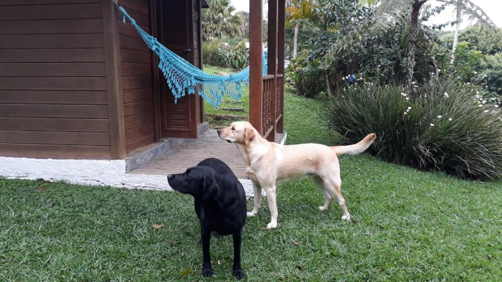 Pousada Recanto Dos Pinheiros Pilar do Sul Zewnętrze zdjęcie